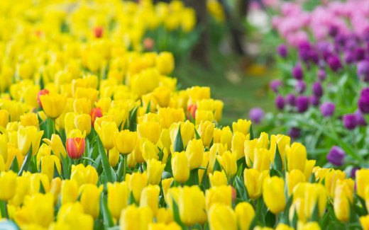 383539 (a): :2560x1600